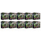 Shrouded Fable Elite Trainer Box Case