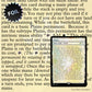 MTG The Full-Text Lands Foil Edition Secret Lair Card Plains
